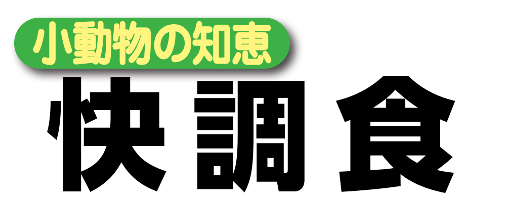 フェカリス菌配合。お腹のサプリメント―